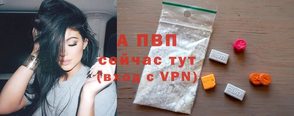 дурь Богданович