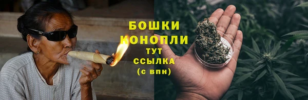 дурь Богданович