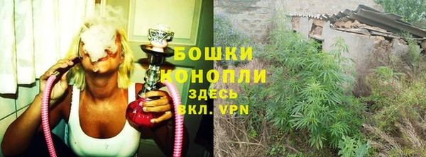 дурь Богданович