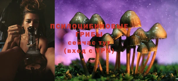 дурь Богданович