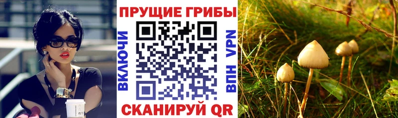 Псилоцибиновые грибы Magic Shrooms  Томмот 